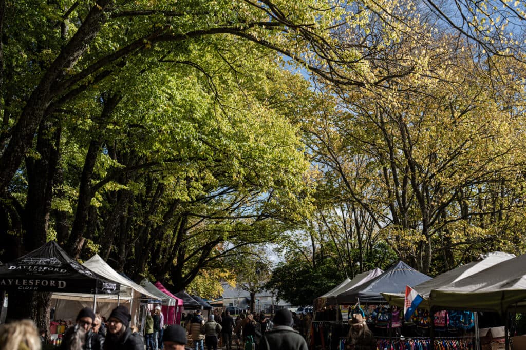 People browsing market stalls under an avenue of leafy trees