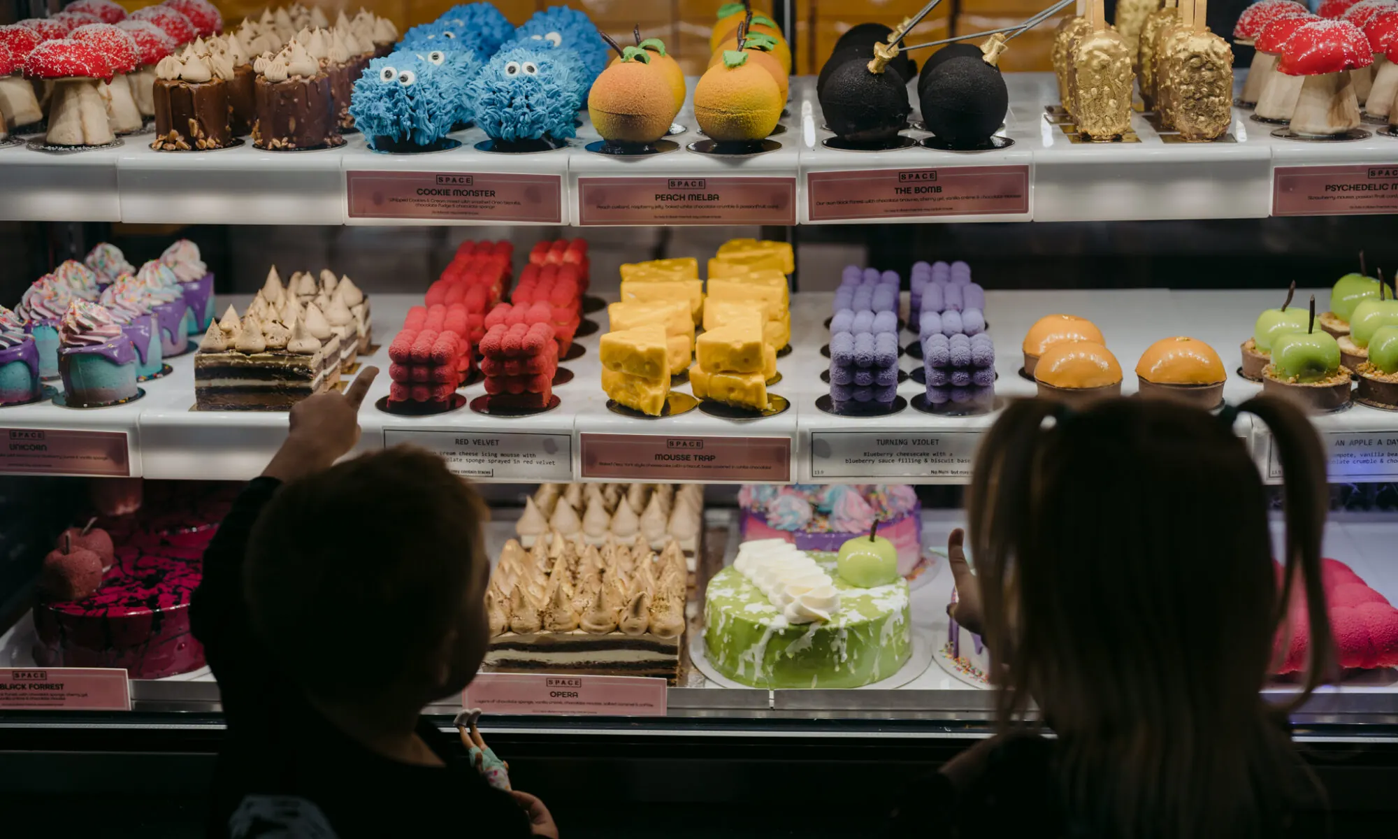 Two children looking at colourful cakes in a bakery display